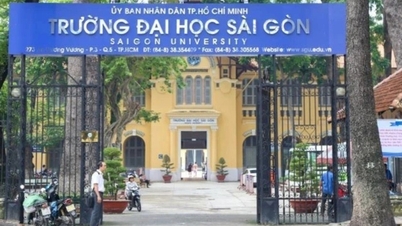 Respecto al caso de estudiantes de formación docente que se retrasan en la recepción de apoyo financiero: el Departamento de Finanzas de la ciudad de Ho Chi Minh se pronuncia.