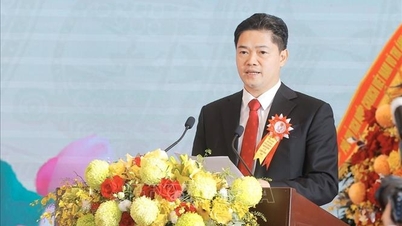 Bổ nhiệm Ủy viên Hội đồng quản lý bảo hiểm xã hội