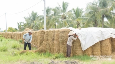 Nông nghiệp tuần hoàn không còn là khẩu hiệu