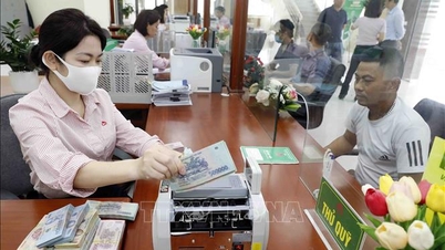 Loan policies to support job creation.
