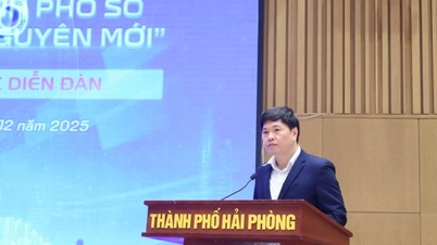 Hai Phong realiseert zijn ambitie om in het nieuwe tijdperk een 'digitale stad' te worden.