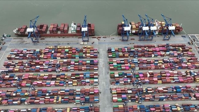 Repere ale știrilor economice din Vietnam pe 25 decembrie 2025