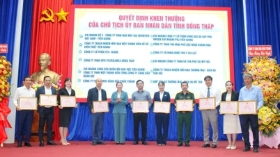 ดงทับ: ชื่นชมองค์กรและธุรกิจ 160 แห่งที่ดำเนินการตามนโยบายและกฎหมายภาษีได้อย่างมีประสิทธิภาพในปี 2024
