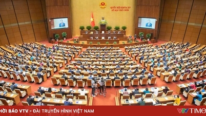 De Vietnamese Nationale Vergadering - 80 jaar grondwettelijk werk