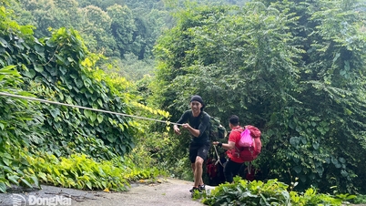 Creando oportunidades para que el turismo en Dong Nai despegue