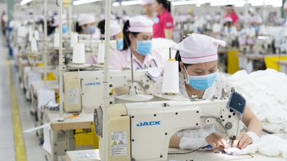 Perusahaan tekstil di Kota Ho Chi Minh bubar, lebih dari 2.000 pekerja khawatir menjelang Tet (Tahun Baru Imlek).