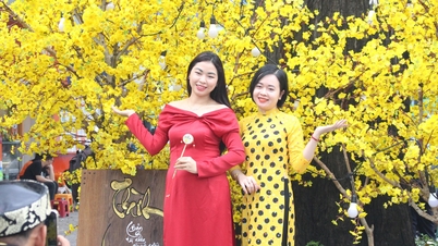 Thống nhất nghỉ tết Dương lịch 4 ngày liên tục