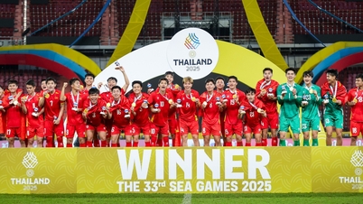 ในการแข่งขันกีฬาซีเกมส์ครั้งที่ 33 ทีมชาติเวียดนามได้รับเงินรางวัลรวม 31.655 พันล้านดอง ทีมใดได้รับเงินรางวัลมากที่สุด?