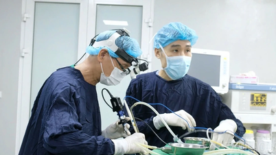Mise en œuvre de la technique d'adénoïdectomie à l'aide d'un bistouri à plasma.