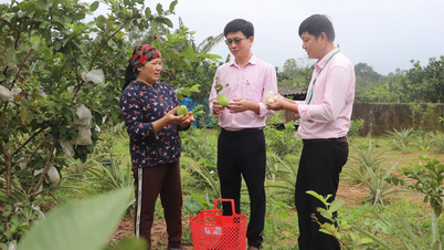 Vốn tín dụng chính sách tạo việc làm cho lao động nông thôn
