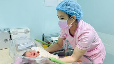 베트남 인구의 날(12월 26일): 인구의 질이 국가의 미래를 결정합니다.