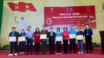 Lào Cai tiếp nhận trên 19.500 đơn vị máu từ phong trào hiến máu tình nguyện