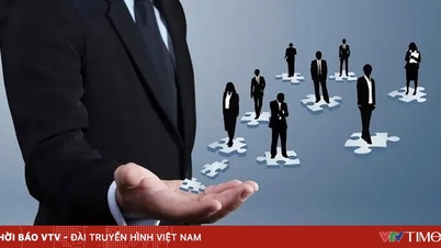 Ho-Chi-Minh-Stadt plant die Einrichtung eines Fonds von über 350 Milliarden VND zur Anwerbung von Talenten.