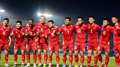Overview of Vietnamese Football in 2025: A Bright Milestone on the Journey Towards Sustainable Development