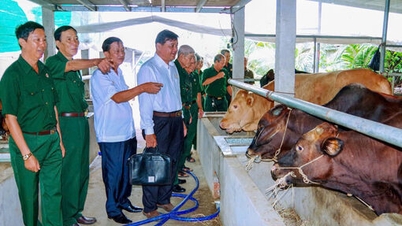 Veteran berdiri teguh di 'barisan hadapan baharu'.