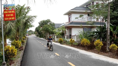 Thi đua yêu nước: Nhân sức mạnh đoàn kết từ Chi bộ Đảng ở cơ sở