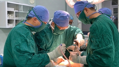 Nghe An Orthopedic and Trauma Hospital: Affirming its reputation in treating femoral neck fractures in the elderly.