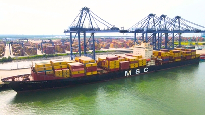 Порт SSIT приветствует первое судно на новом маршруте компании MSC «Самбар».