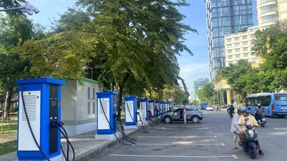 Bandar Raya Ho Chi Minh menanam tambahan 15,000 pokok secara berselerak.