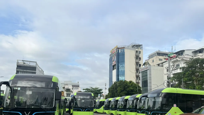Bandar Raya Ho Chi Minh sedang menukar semua bas CNG di laluan 33 dan 150 kepada bas elektrik.