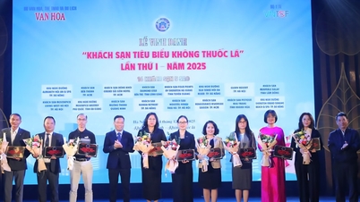 Tretton hotell i Da Nang utsågs till "Exemplary Smoke-Free Hotel".