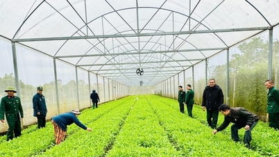 انجمن پیشکسوتان کمون نام فو دانش علمی و فنی را منتقل می‌کند و به اعضای خود کمک می‌کند تا زندگی خود را بهبود بخشند و ثروتمند شوند.
