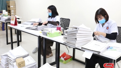 مهنة هادئة تتمثل في حفظ الوثائق التاريخية.