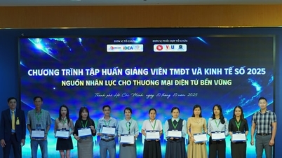 Cả nước có 47 trường đào tạo ngành thương mại điện tử