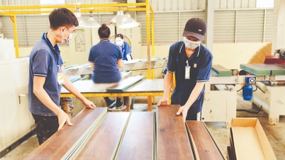 Nhìn lại năm 2025: Xuất nhập khẩu lập đỉnh mới