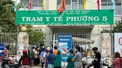 How will the primary healthcare system in Ho Chi Minh City be organized and operated from January 1, 2026?