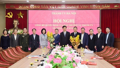 Major General Nguyen Thanh Long appointed Chief of the Hanoi City Party Committee Office.