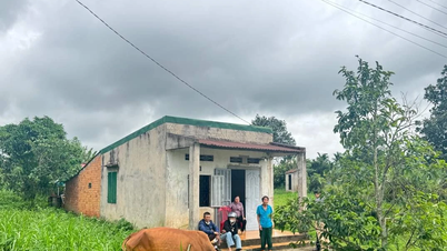ការប្រគល់គោក្របីចិញ្ចឹមជីវិត ជីវភាពរស់នៅប្រកបដោយចីរភាព «រស់ឡើងវិញ» នូវដីធ្លីក្រីក្រ។