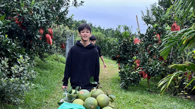 Perjalanan keluar dari kemiskinan seorang petani limau bali di Bac Ninh.