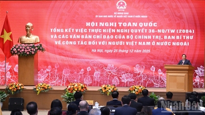 36-NQ/TW (2004) sayılı Kararın ve Politbüro ile Sekreterliğin yurtdışındaki Vietnamlılarla çalışma konusundaki direktiflerinin uygulanmasını özetleyen Ulusal Konferans.