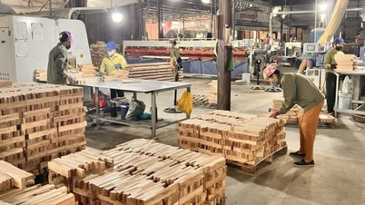 Lâm nghiệp Nghệ An thừa tiềm năng nhưng phát triển chậm