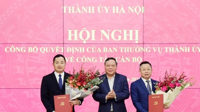 The Standing Committee of the Hanoi City Party Committee issued decisions on personnel matters.