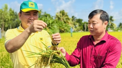 จังหวัดอานเจียงส่งเสริมการทำนาข้าวคุณภาพสูงและลดการปล่อยมลพิษตั้งแต่ระดับรากหญ้า