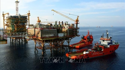 Petrovietnam vytvořil nový rekord v celkových tržbách.