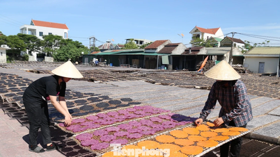 Le parcours d'une jeune fille de la province de Nghệ An pour revitaliser les spécialités de sa ville natale.