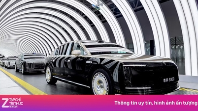 中国では電気自動車モデルがポルシェやBMWを上回る売上を記録。