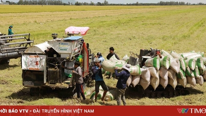 Ökologisierung der Chemie- und Düngemittelindustrie: Ein Wettbewerbsvorteil für die vietnamesische Landwirtschaft.