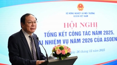 ASOEN Vietnam 2025 : Un symbole de collaboration, vers un rôle de premier plan
