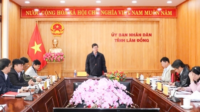Lam Dong adjusts its planning to ensure progress, quality, and long-term vision.