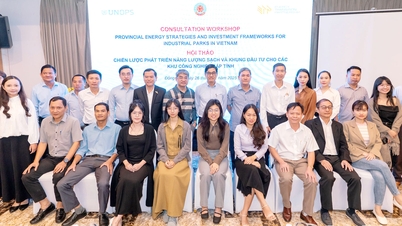 Dong Nai has significant potential for developing renewable energy in its industrial zones.