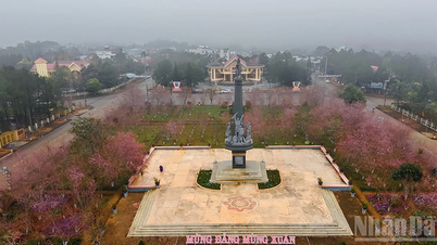 Quang Ngai kulturális, turisztikai és sporttevékenységek sorozatát szervezi a 2026-os újév megünneplésére.
