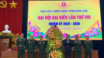 제8차 지방 재향군인회 총회, 임기 2025-2030