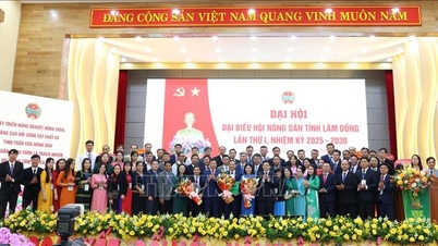 จังหวัดลำดงกำลังสร้างเกษตรกรยุคใหม่ที่เชื่อมโยงกับการเปลี่ยนแปลงทางดิจิทัล
