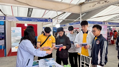 Élargir les possibilités d'accès au marché du travail pour les étudiants.