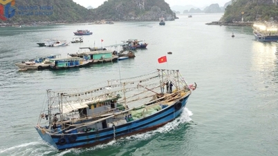 Mengelola secara ketat kapal penangkap ikan yang terlibat dalam eksploitasi perikanan.