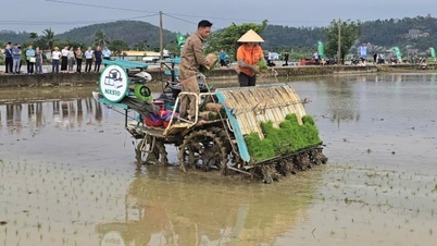 Hải Phòng hướng mục tiêu chỉ cần 1 - 3% dân số làm nông nghiệp